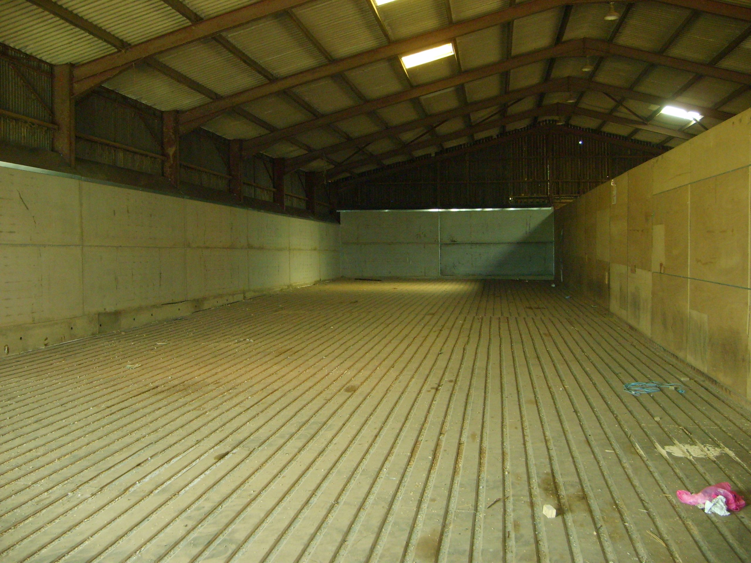 Grain (5)