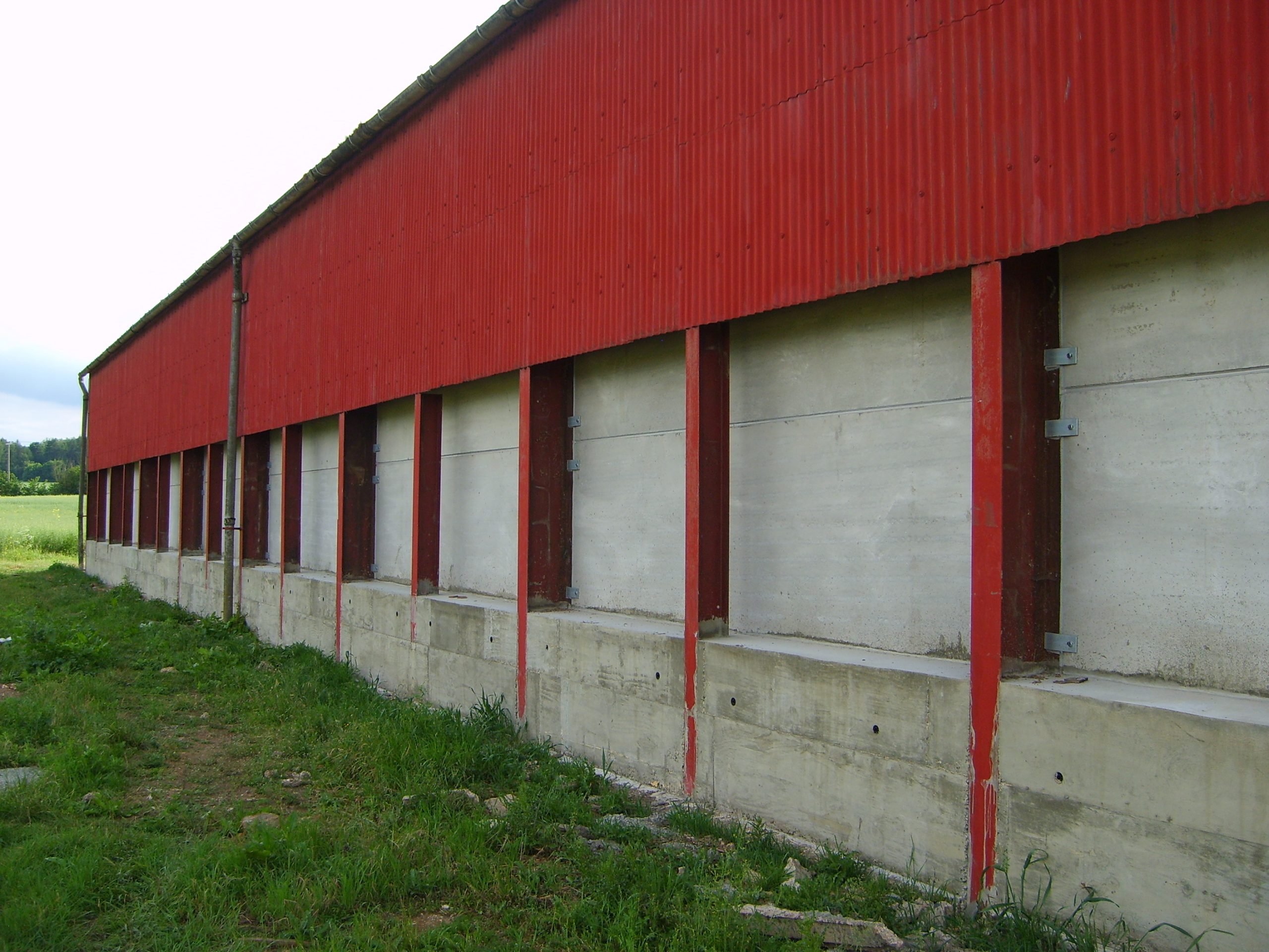 Grain (6)